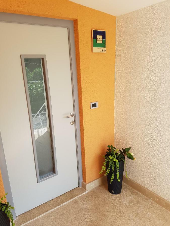 Apartment Lency Novigrad  Bagian luar foto